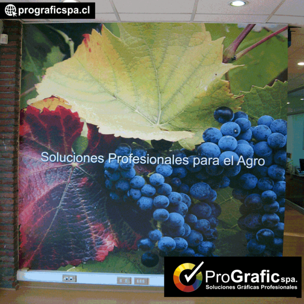 murales adhesivos - Imagen 9